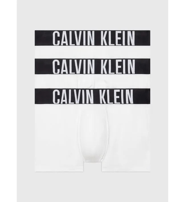 BOXER CAB. -TRUNK 3PK-WHITE, WHITE, WHITE-L - L